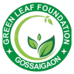 GSL-P Partners Logo (5)