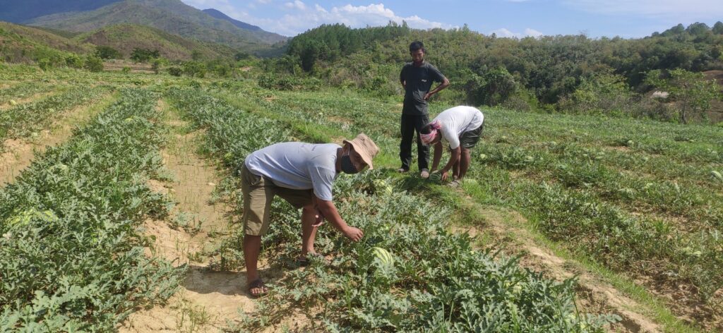 Farming